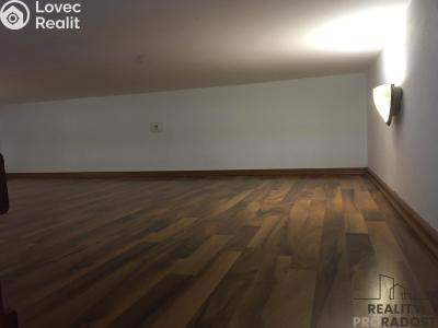 Pronájem bytu 1+KK Praha, Freyova č. 6