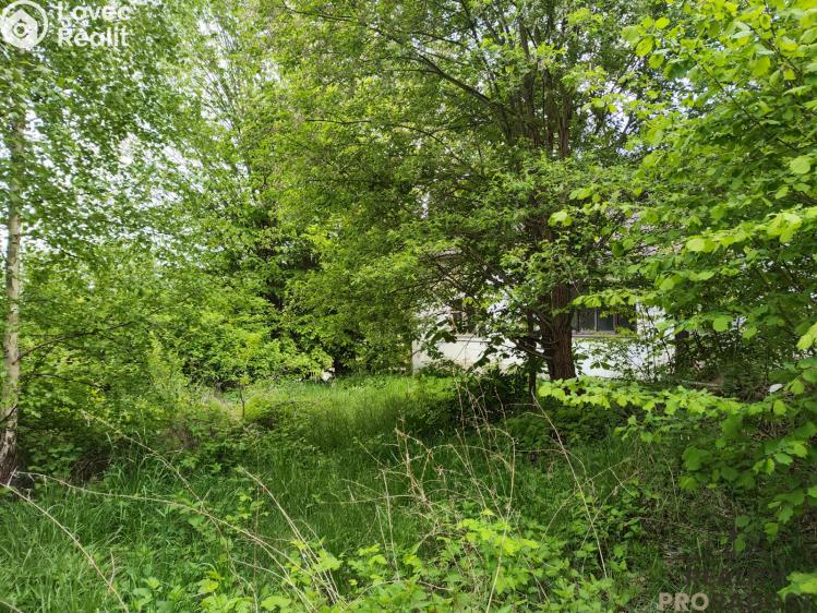 Prodej rodinného domu Vlkanov č. 12