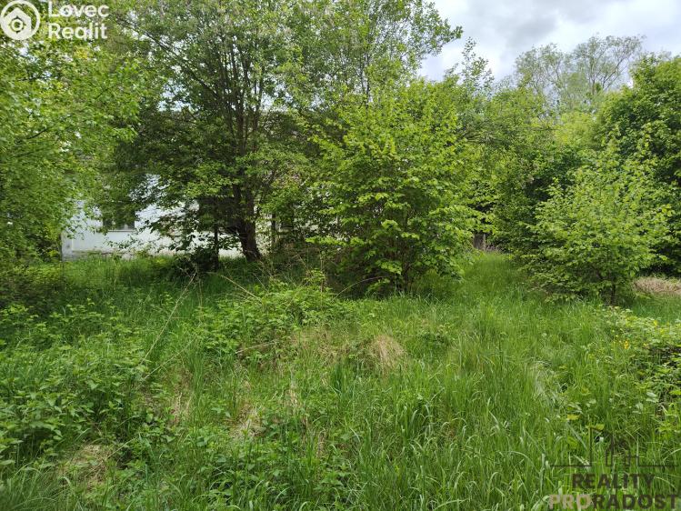 Prodej rodinného domu Vlkanov č. 13