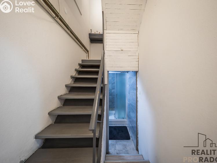 Sale multi-gen house Hodonín, Komenského 794/17 č. 10