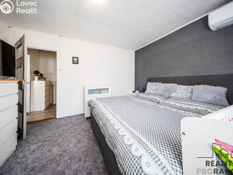 Sale multi-gen house Hodonín, Komenského 794/17 č. 13