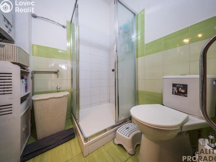 Sale multi-gen house Hodonín, Komenského 794/17 č. 22