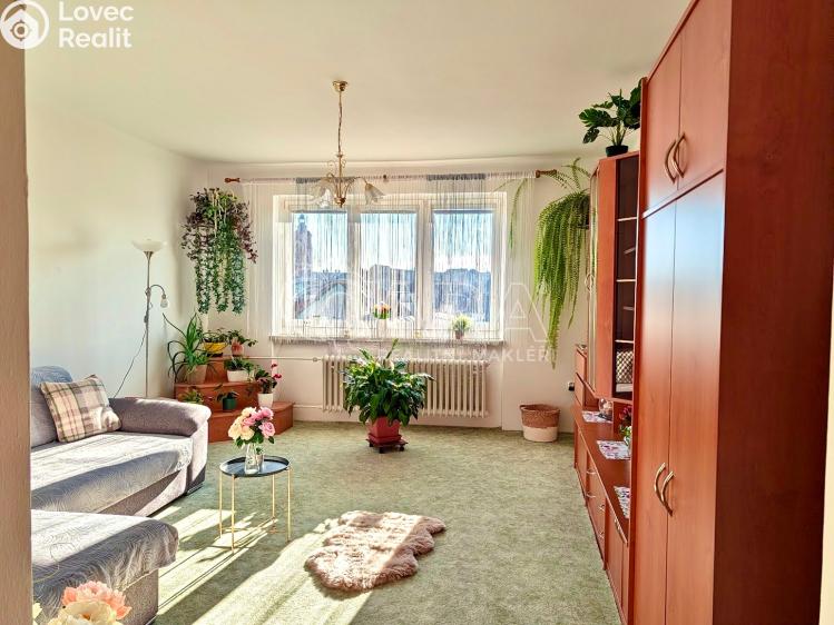 Prodej bytu 2+1 Přeštice, Červenkova 961 č. 2