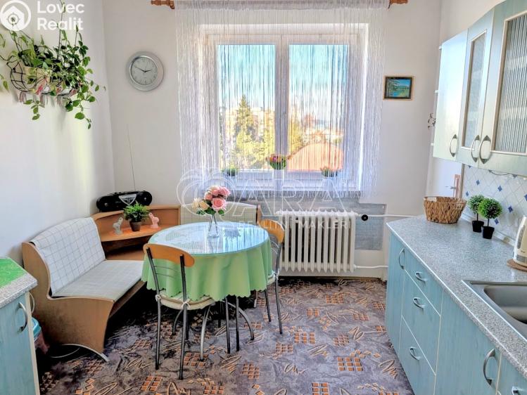 Prodej bytu 2+1 Přeštice, Červenkova 961 č. 19