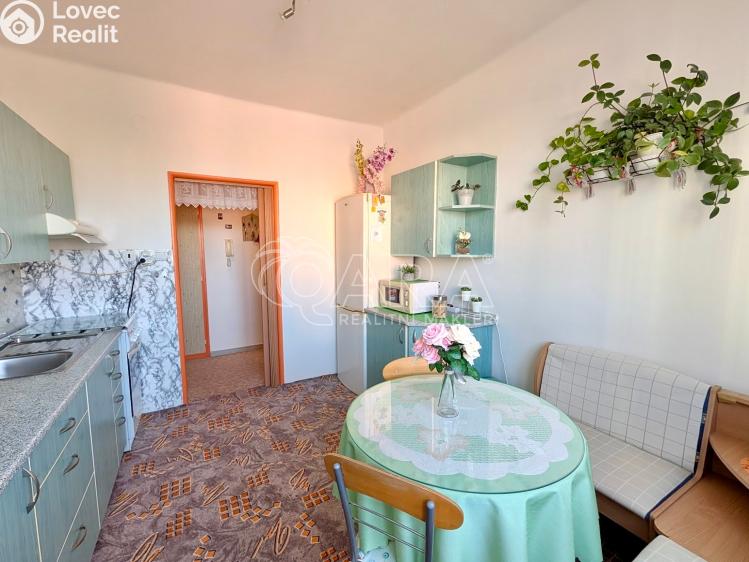 Prodej bytu 2+1 Přeštice, Červenkova 961 č. 21