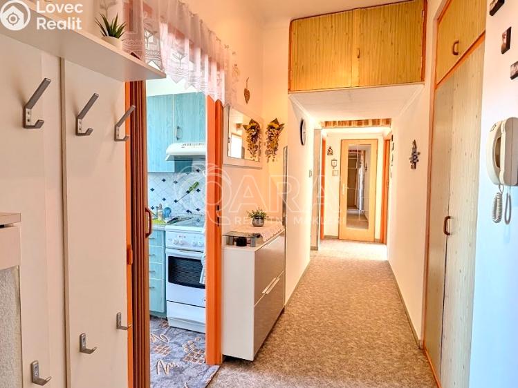 Prodej bytu 2+1 Přeštice, Červenkova 961 č. 28