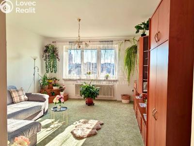 Prodej bytu 2+1 Přeštice, Červenkova 961 č. 2