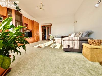 Prodej bytu 2+1 Přeštice, Červenkova 961 č. 3