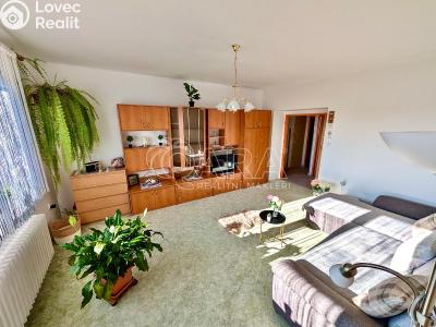 Prodej bytu 2+1 Přeštice, Červenkova 961 č. 5