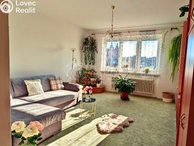 Prodej bytu 2+1 Přeštice, Červenkova 961 č. 13