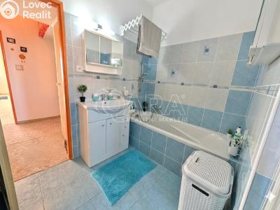 Prodej bytu 2+1 Přeštice, Červenkova 961 č. 19