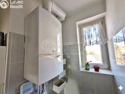 Prodej bytu 2+1 Přeštice, Červenkova 961 č. 20