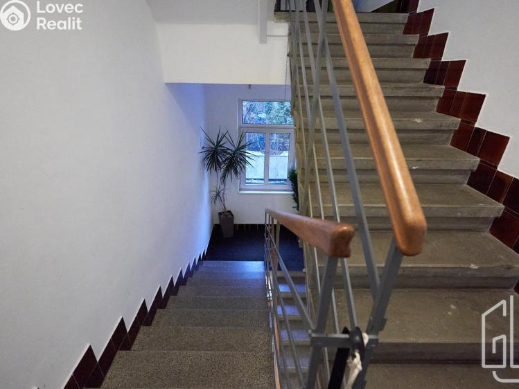 Pronájem bytu 3+KK Brno, Poděbradova č. 19