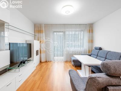 Rent apartment 2+KK Praha, Fikerova č. 2