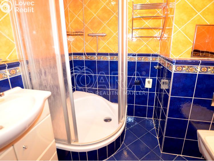 Pronájem bytu 1+1 Praha, Na domovině 651/1 č. 15