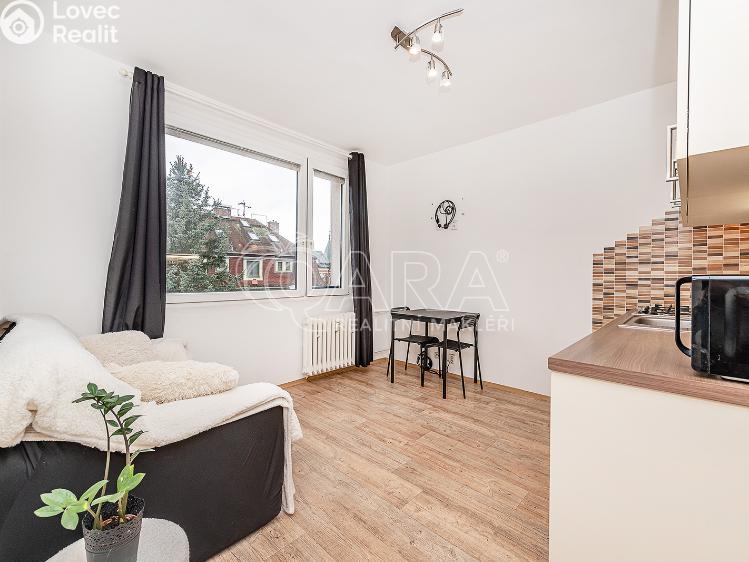 Pronájem bytu 1+1 Liberec, Vaňurova 813/12 č. 1