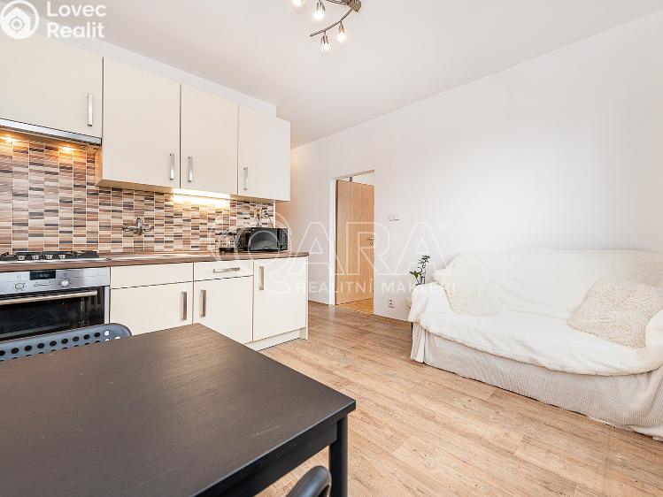 Pronájem bytu 1+1 Liberec, Vaňurova 813/12 č. 8