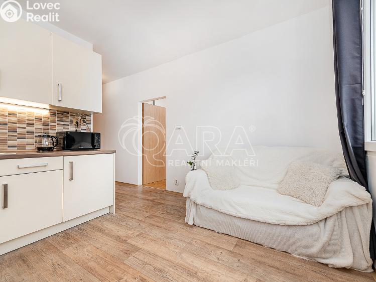 Pronájem bytu 1+1 Liberec, Vaňurova 813/12 č. 9