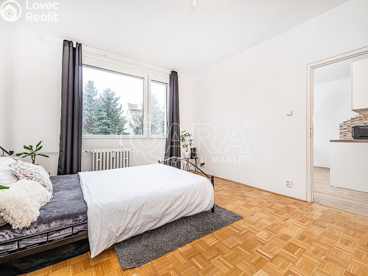 Pronájem bytu 1+1 Liberec, Vaňurova 813/12 č. 15