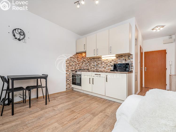 Pronájem bytu 1+1 Liberec, Vaňurova 813/12 č. 16