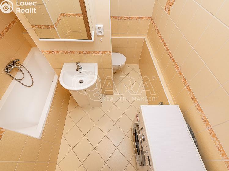 Pronájem bytu 1+1 Liberec, Vaňurova 813/12 č. 18