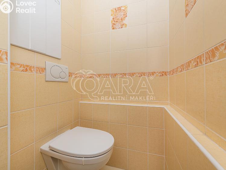 Pronájem bytu 1+1 Liberec, Vaňurova 813/12 č. 19