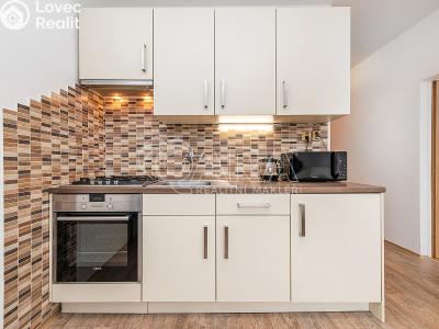 Pronájem bytu 1+1 Liberec, Vaňurova č. 2