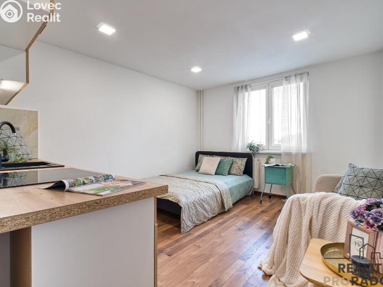 Rent apartment 1+KK Karviná, Prameny č. 4