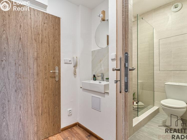 Rent apartment 1+KK Karviná, Prameny č. 6