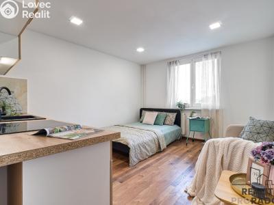 Pronájem bytu 1+KK Karviná, Prameny č. 4