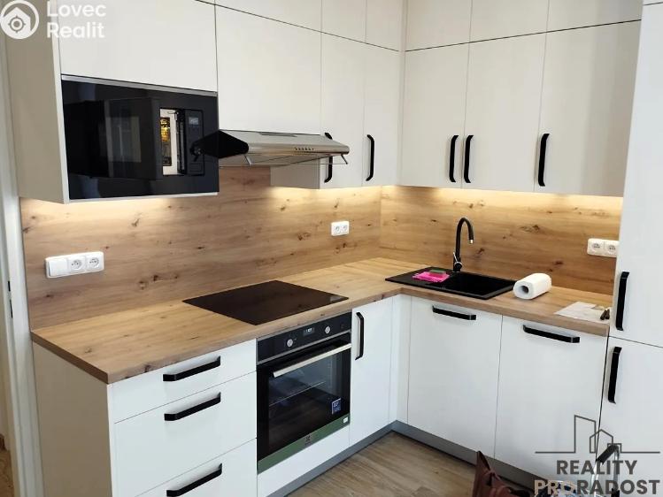 Pronájem bytu 1+1 Praha, U družstva Repo č. 1