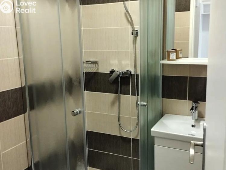 Pronájem bytu 1+1 Praha, U družstva Repo č. 4