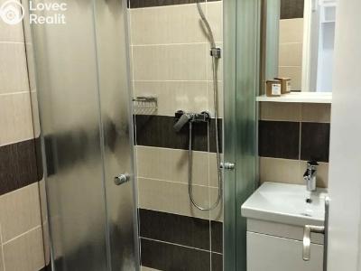 Pronájem bytu 1+1 Praha, U družstva Repo č. 4