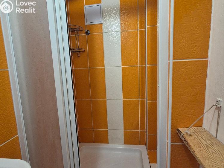 Pronájem bytu 1+1 Plzeň, Františkánská 129/4 č. 7