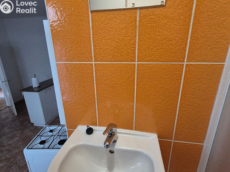 Pronájem bytu 1+1 Plzeň, Františkánská 129/4 č. 8