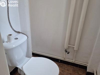 Pronájem bytu 1+1 Plzeň, Františkánská č. 6