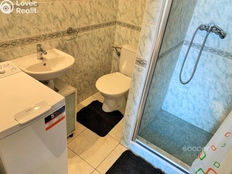 Pronájem bytu 1+KK Brandýs nad Labem-Stará Boleslav, Na dolíku č. 5