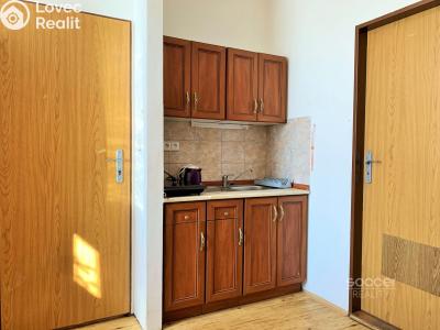 Pronájem bytu 1+KK Brandýs nad Labem-Stará Boleslav, Na dolíku č. 1