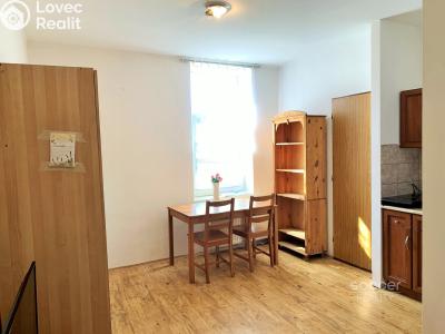 Pronájem bytu 1+KK Brandýs nad Labem-Stará Boleslav, Na dolíku č. 2