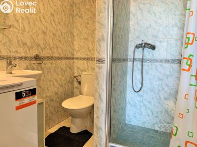 Pronájem bytu 1+KK Brandýs nad Labem-Stará Boleslav, Na dolíku č. 6