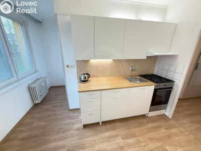 Аренда квартиры 2+1 České Budějovice, Budivojova č. 1