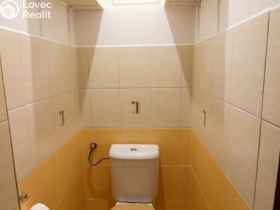 Продаж сімейного будинку Sezimovo Ústí, Wolkerova č. 12