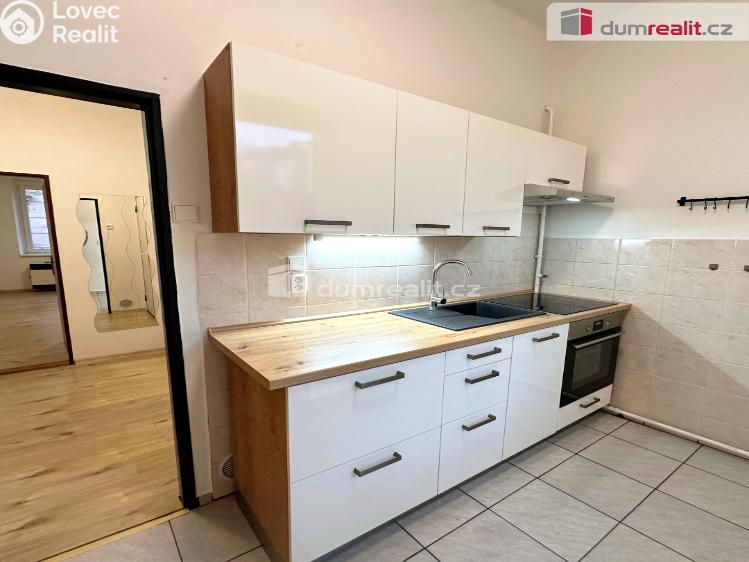 Rent apartment 1+1 Děčín, Lipová č. 1