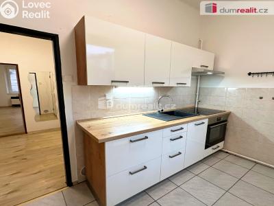 Rent apartment 1+1 Děčín, Lipová č. 1