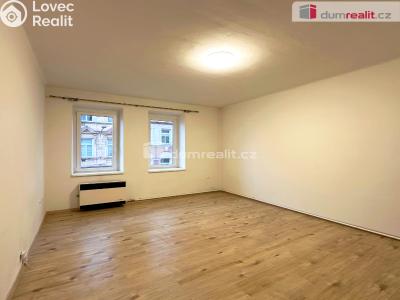 Rent apartment 1+1 Děčín, Lipová č. 3