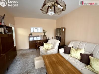 Prodej bytu 2+1 Karlovy Vary, Východní č. 3