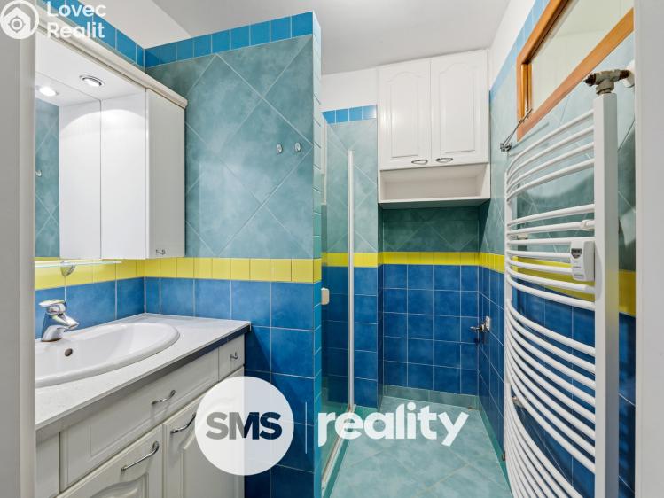 Pronájem bytu 2+1 Brno, Šmejkalova 2100/68 č. 6