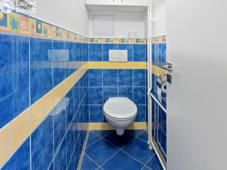 Pronájem bytu 2+1 Brno, Šmejkalova 2100/68 č. 7