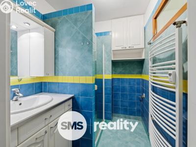 Pronájem bytu 2+1 Brno, Šmejkalova č. 6