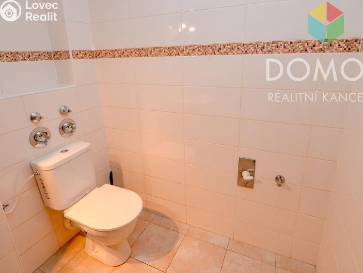 Pronájem bytu 1+KK Beroun, V Hlinkách 650/25 č. 9